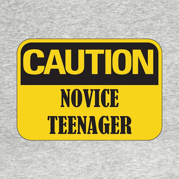 Caution Novice Teenager, Funny 13th Birthday Gift Idea by Rossla Designs